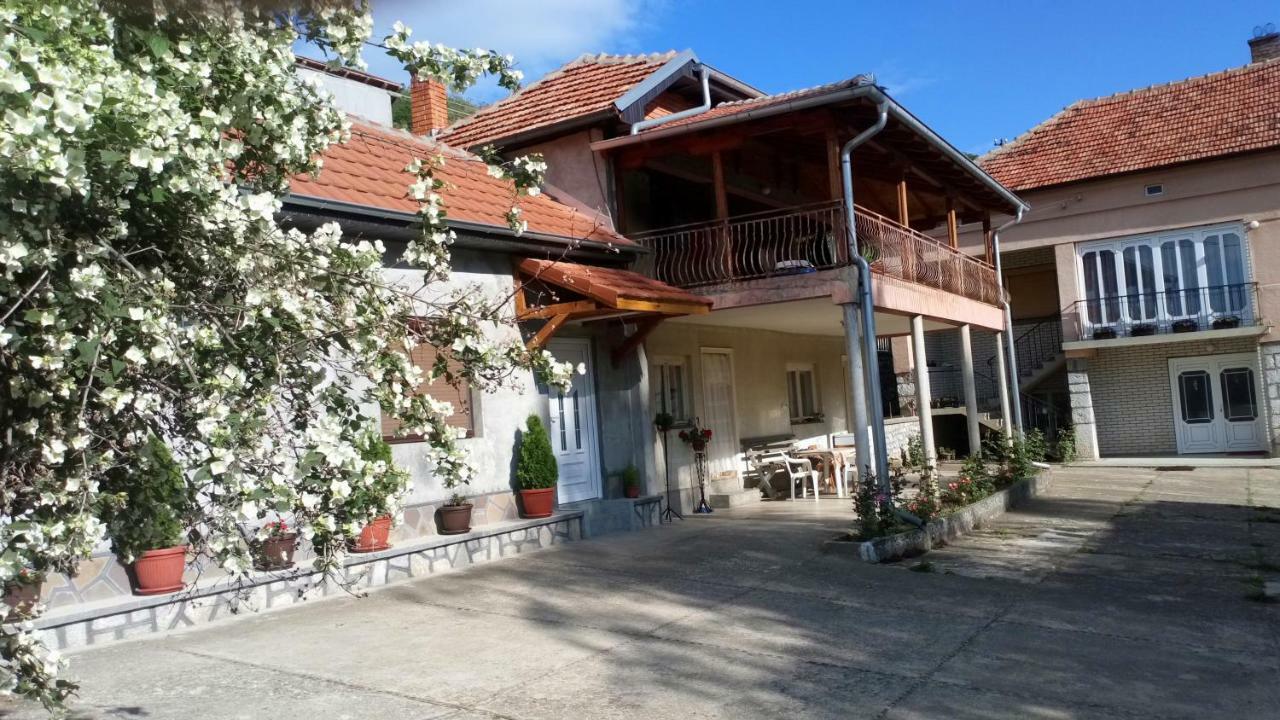 Guest House Green View Pirot Exterior photo